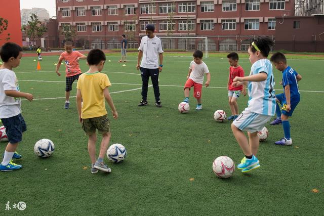 乒乓球德甲第二十一轮：樊振东独得两分  常规赛主场收官